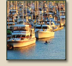 Channel Island Harbor